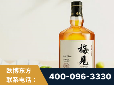 崇州-梅见青梅酒